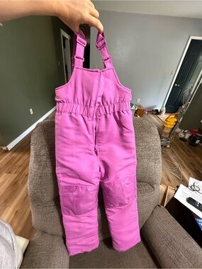 Kids Pink/purple Snow Bib Overalls